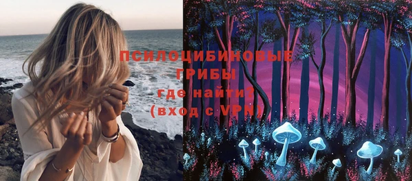 ПСИЛОЦИБИНОВЫЕ ГРИБЫ Куйбышев