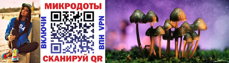 Галлюциногенные грибы Psilocybe  где продают   mega вход  Златоуст 