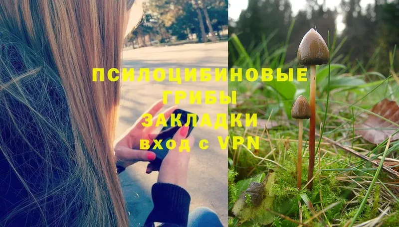 Галлюциногенные грибы MAGIC MUSHROOMS  OMG зеркало  Златоуст 