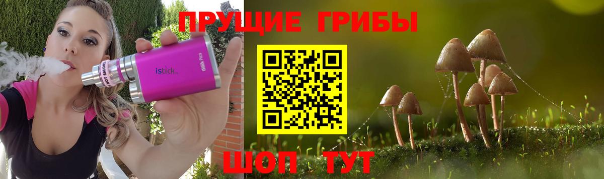 Галлюциногенные грибы MAGIC MUSHROOMS  Вход с VPN  Златоуст 
